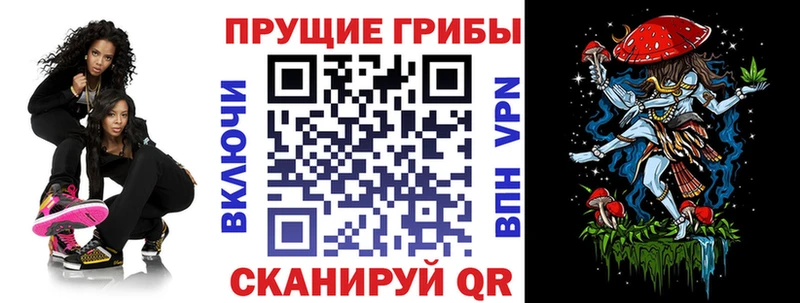 Псилоцибиновые грибы Psilocybine cubensis  Котельниково 